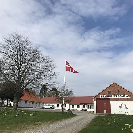 Tranum Lys Og Glas Brovst Kültér fotó